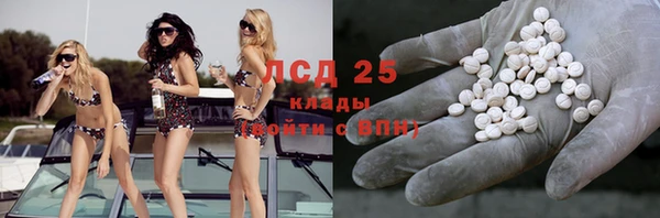 твердый Аркадак