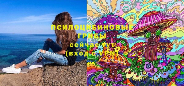 твердый Аркадак