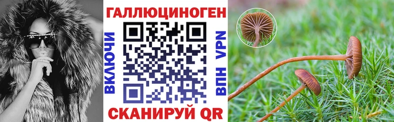 Псилоцибиновые грибы ЛСД  Пенза 