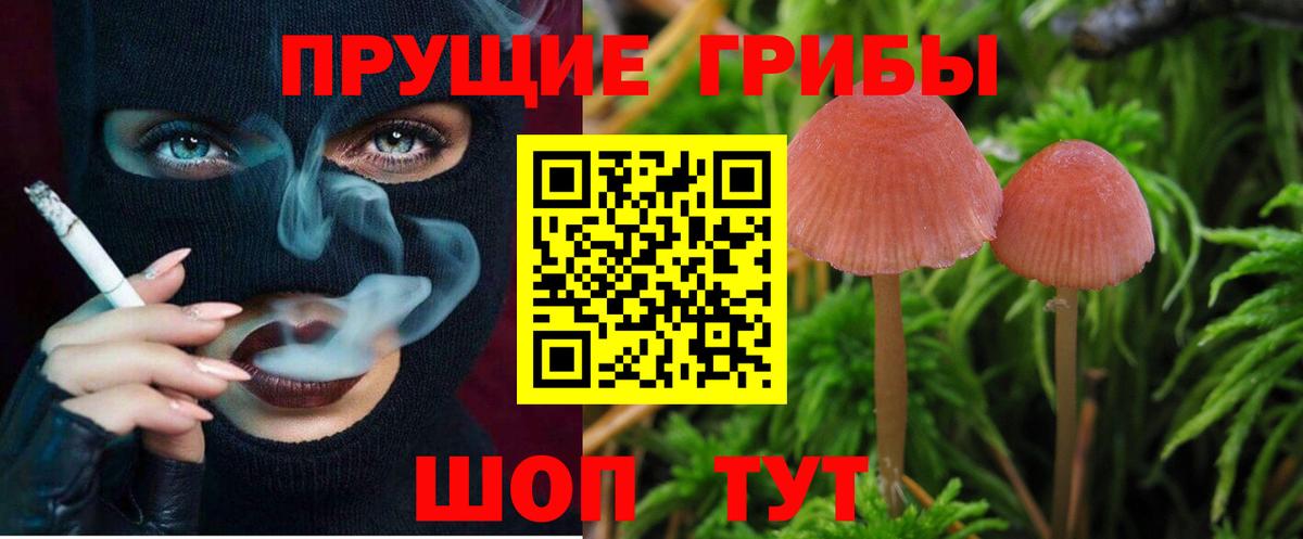 Псилоцибиновые грибы мухоморы  Вход с VPN  Пенза 